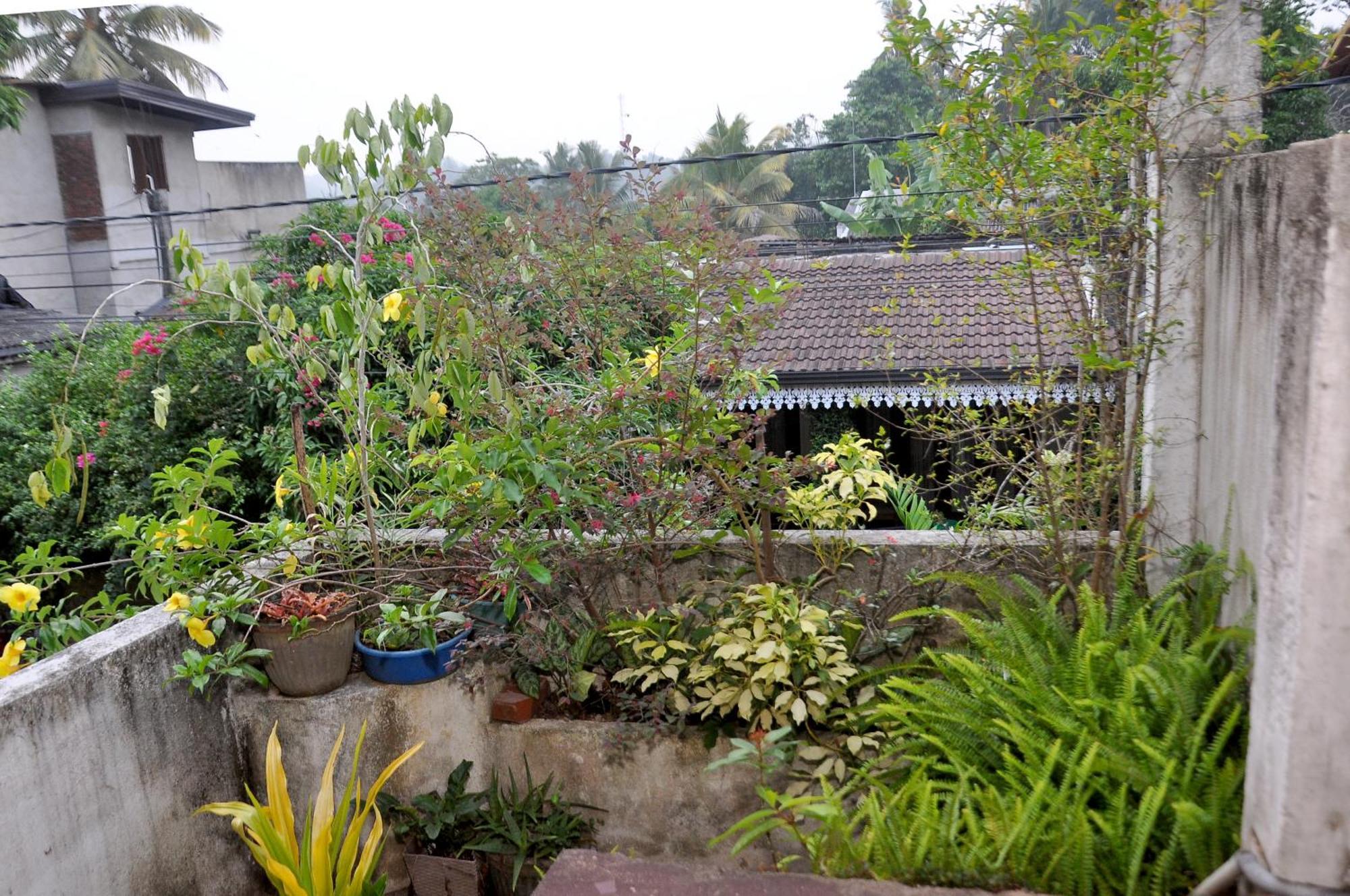 Golden Shower Inn 康提 外观 照片